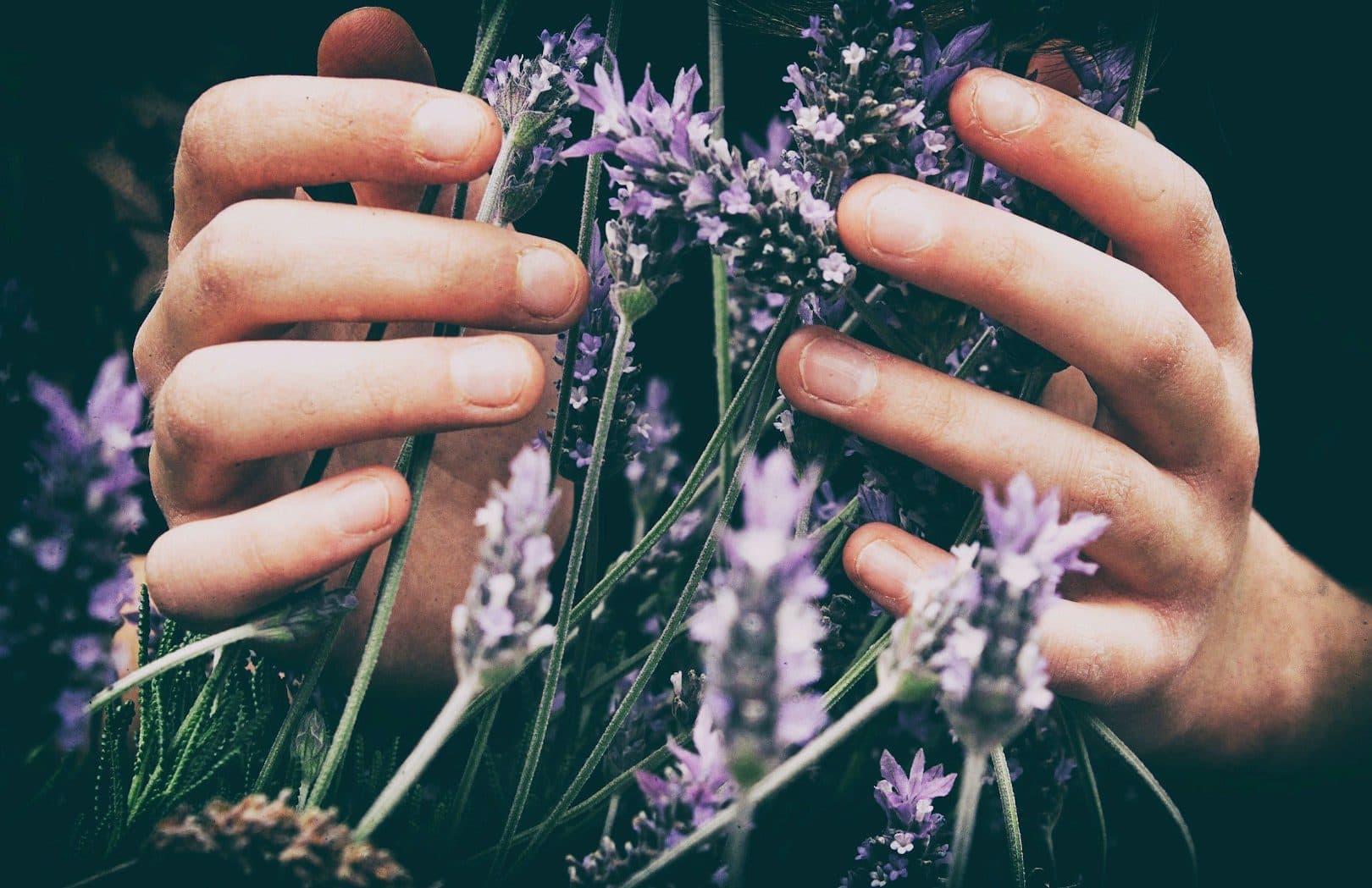 Aroma Öl Massage bei Touch Soul in Stockach